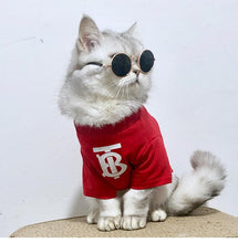 Load image into Gallery viewer, B&amp;T Lil Badass Autumn Shirt (HOT ITEM)
