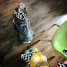 Load image into Gallery viewer, Bathing Pup Plaid Checker Hoodie (HOT NEW ITEM!)

